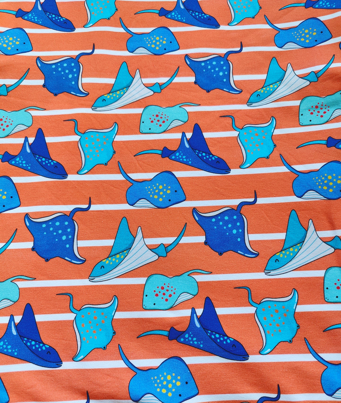 Stingrays