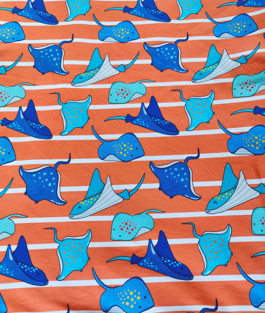 Stingrays
