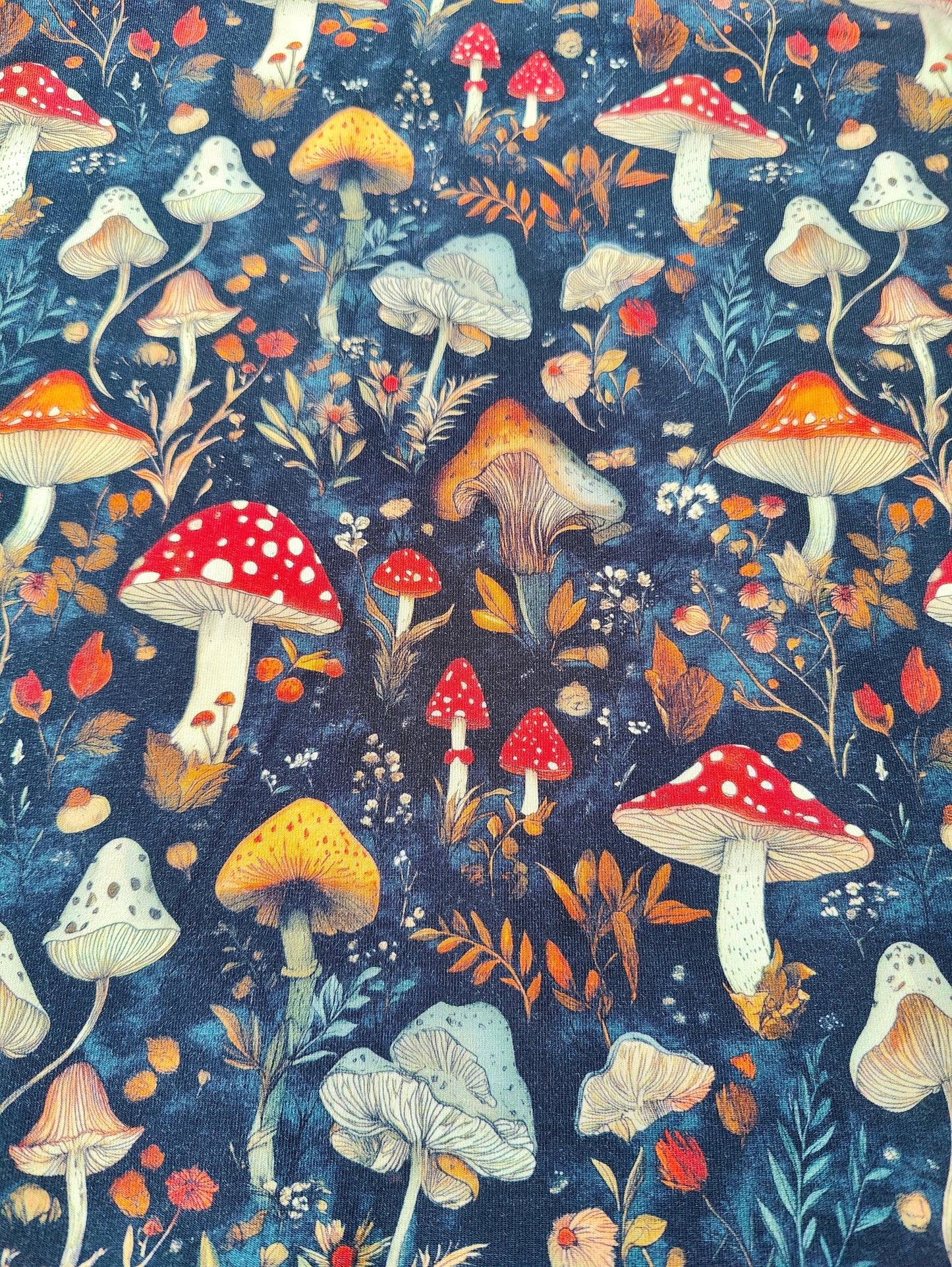 Fungi