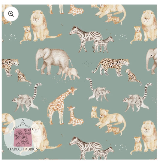 Baby Safari
