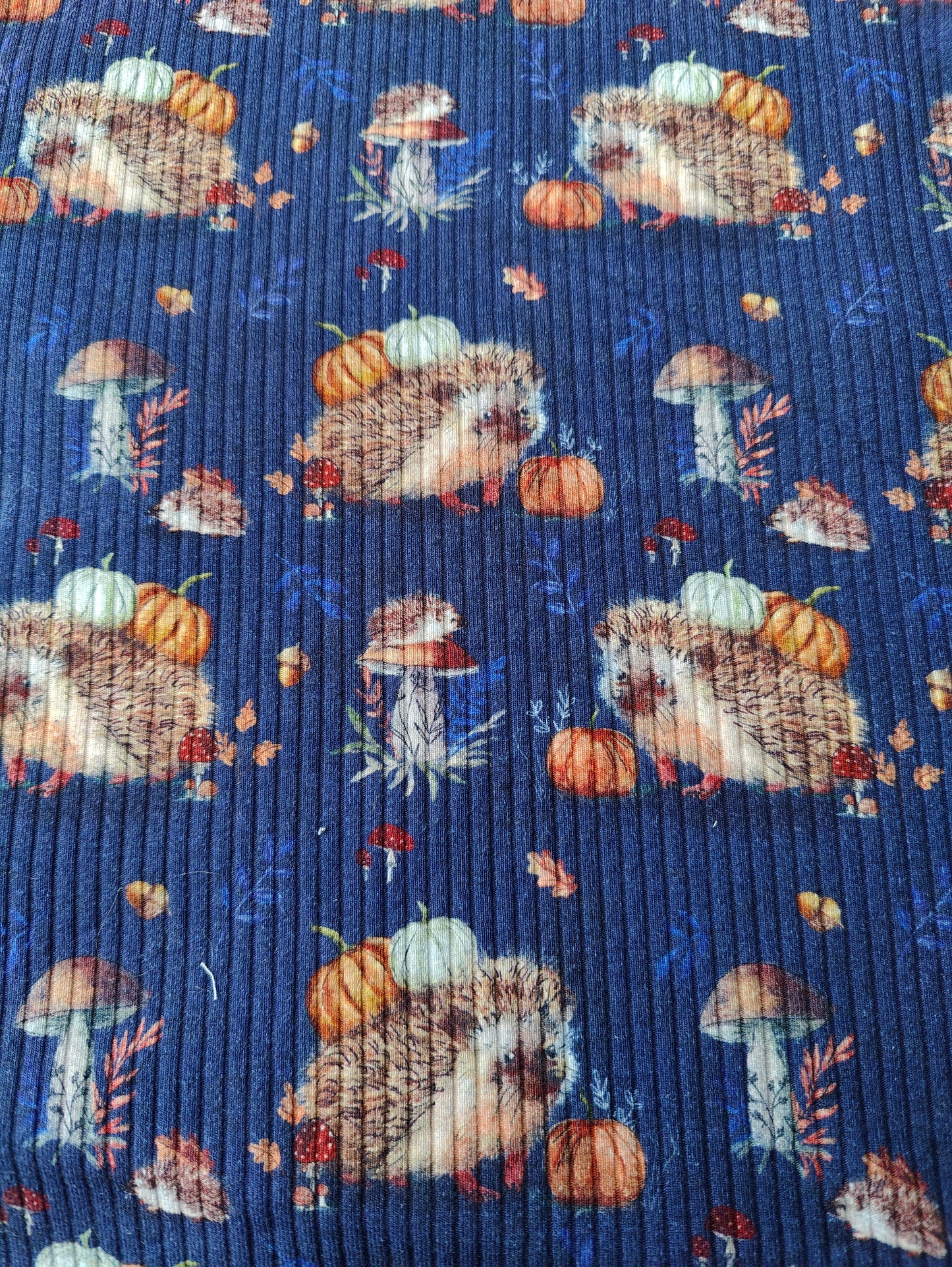 Hedgehogs (ribbed jersey)