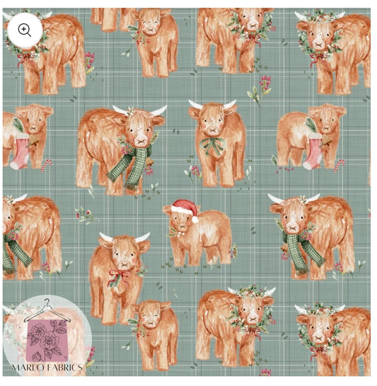 Highland Cows