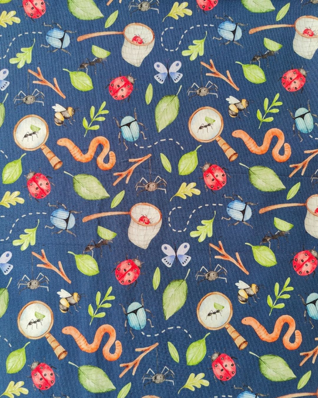 Navy Bugs - DUE IN STOCK MID-MAY