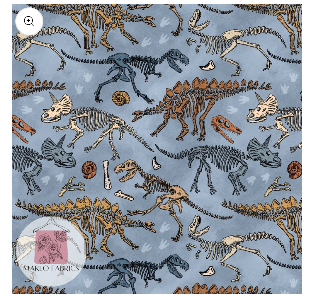 Dino Skeletons