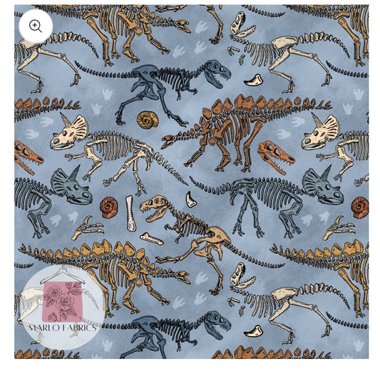 Dino Skeletons